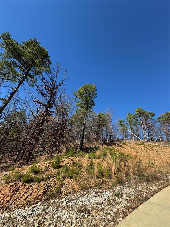 253 Western Pine Trail
