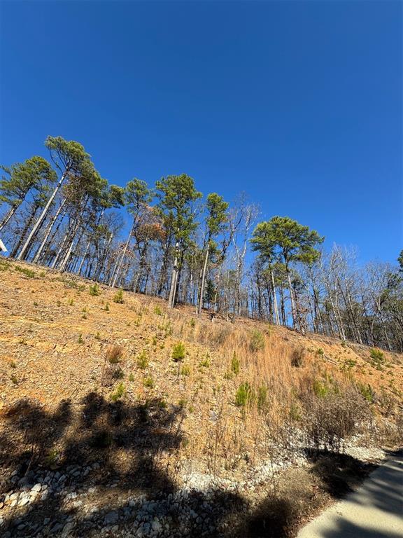 253 Western Pine Trail