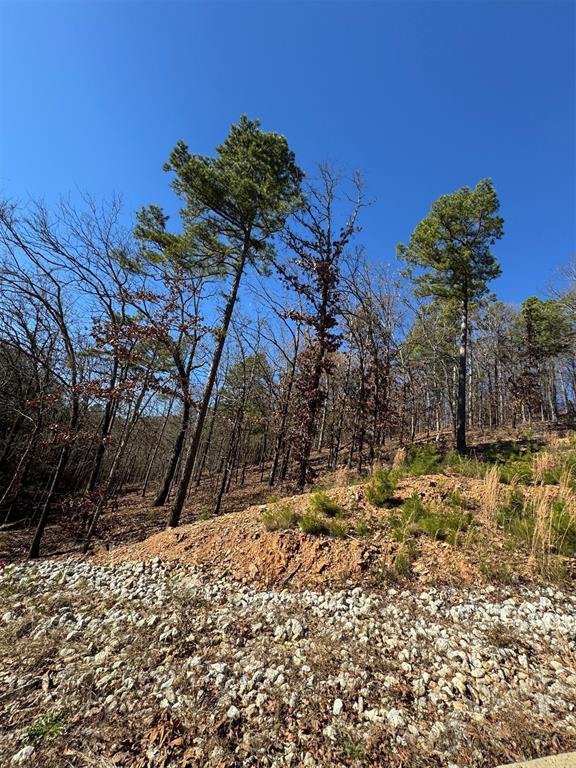 253 Western Pine Trail