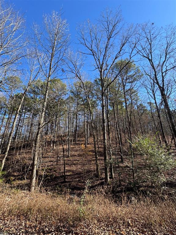 158 Western Maple Trail