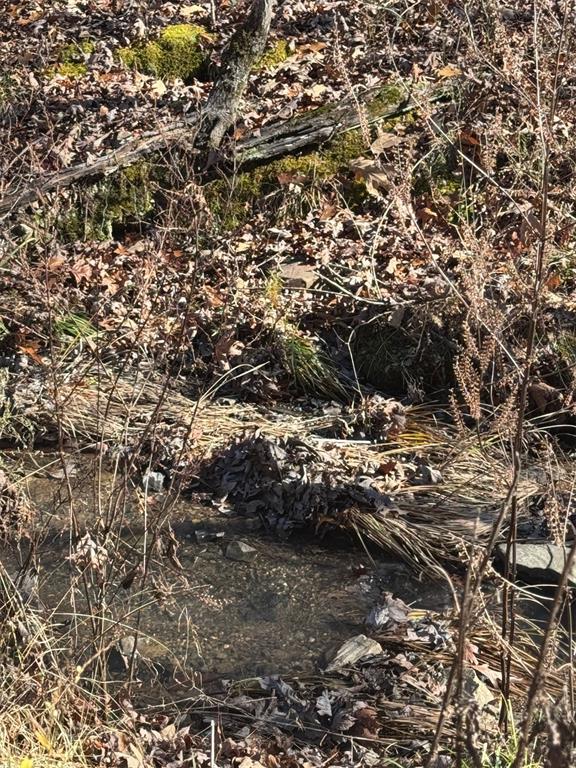 158 Western Maple Trail