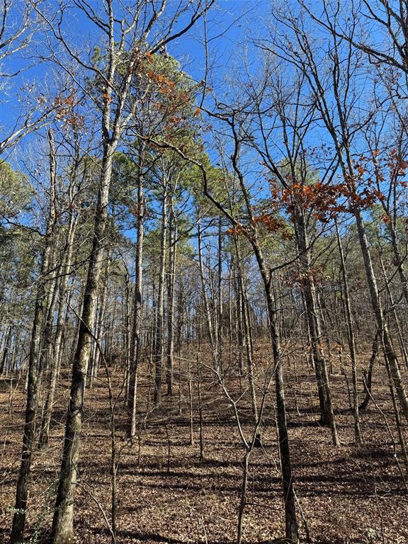 158 Western Maple Trail