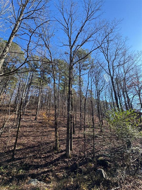 158 Western Maple Trail