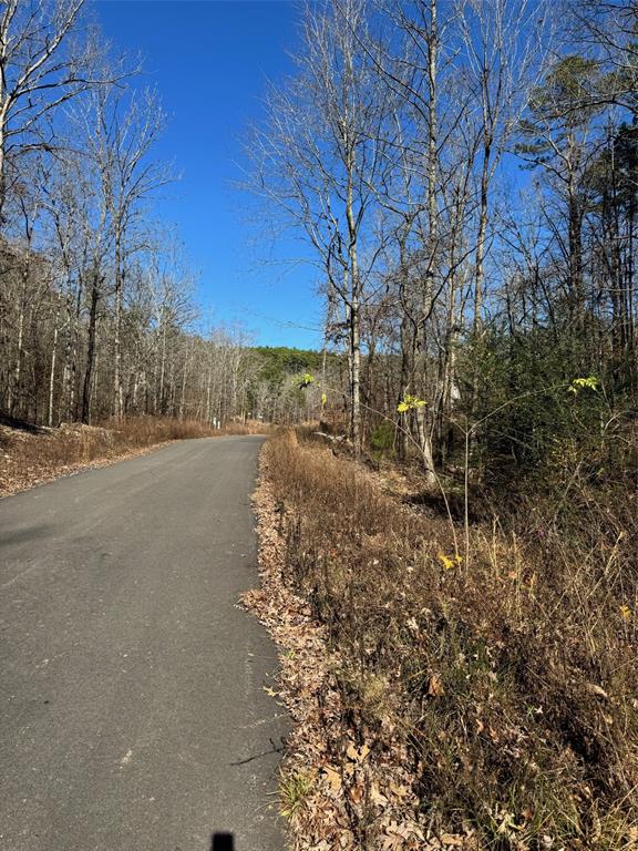 158 Western Maple Trail