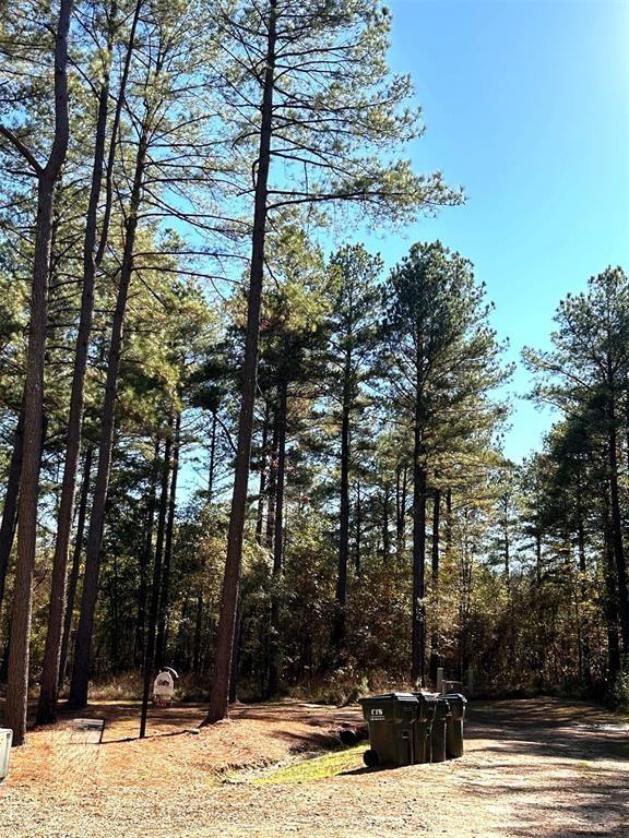 207 Early Wood Trail