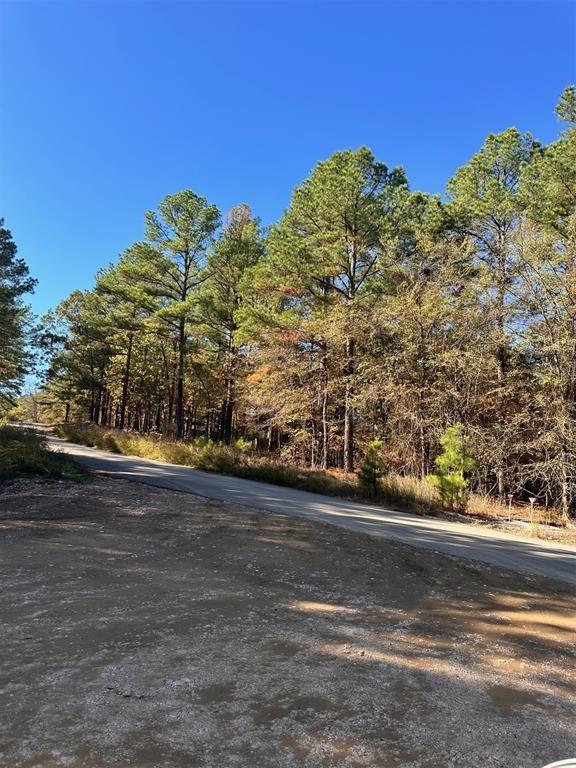 207 Early Wood Trail