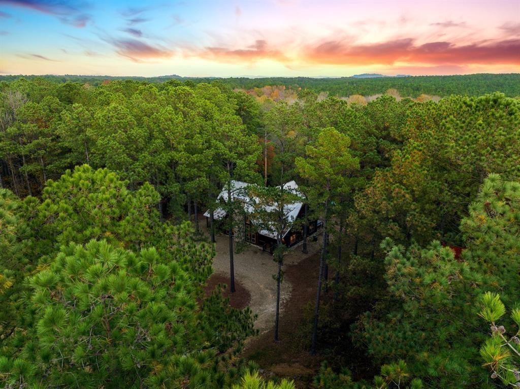 207 Early Wood Trail