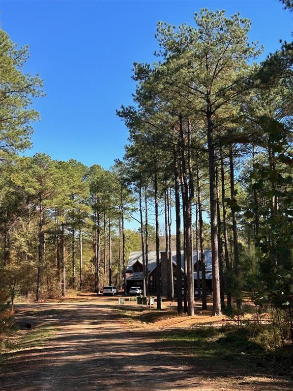 207 Early Wood Trail