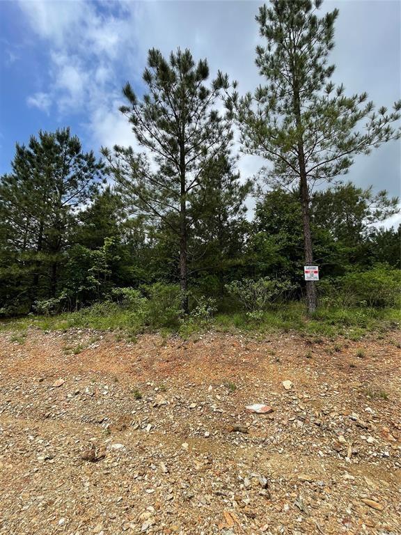 682 Timber Creek Trails South XI