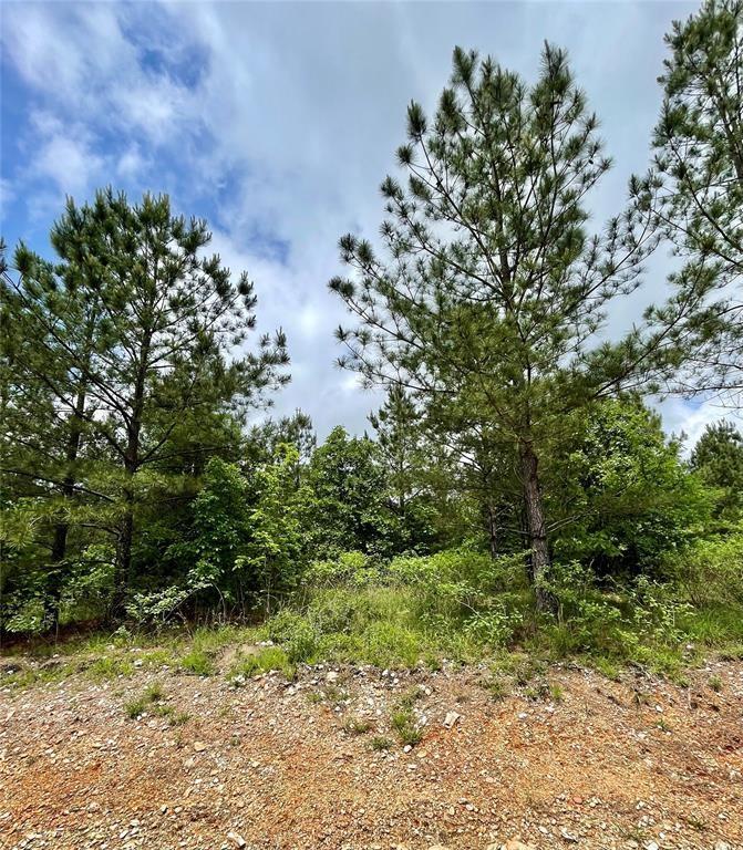 682 Timber Creek Trails South XI