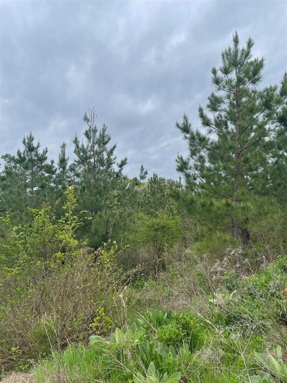 187 Sliding Hill Trail