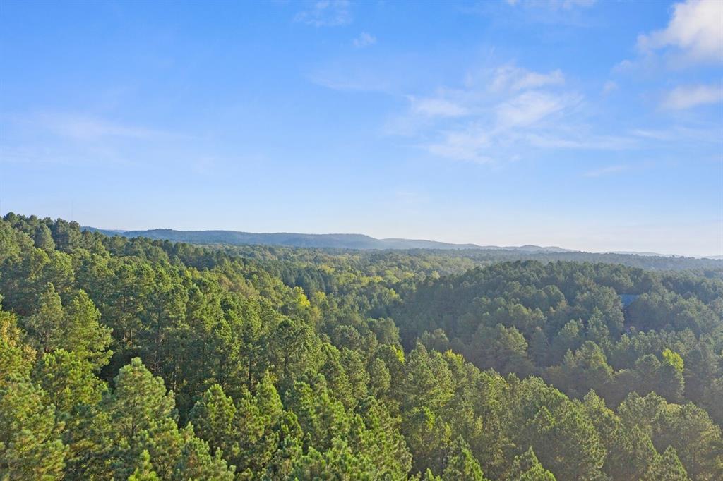 491 High Peak Trail