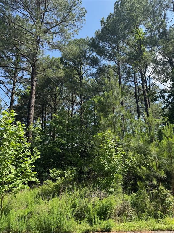 87 Blue Maple Trail