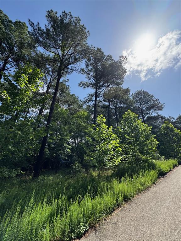 87 Blue Maple Trail