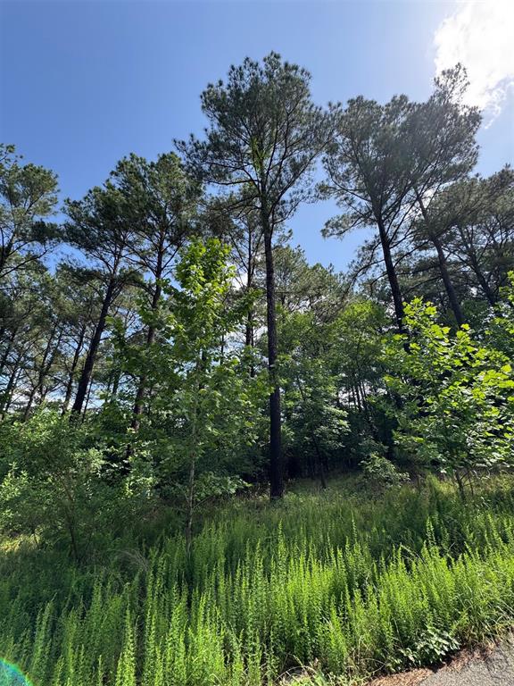 87 Blue Maple Trail