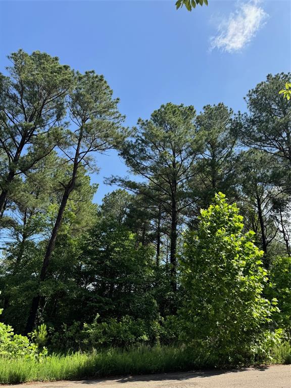 87 Blue Maple Trail