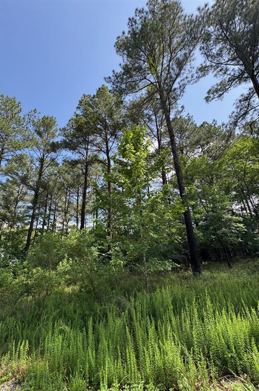87 Blue Maple Trail