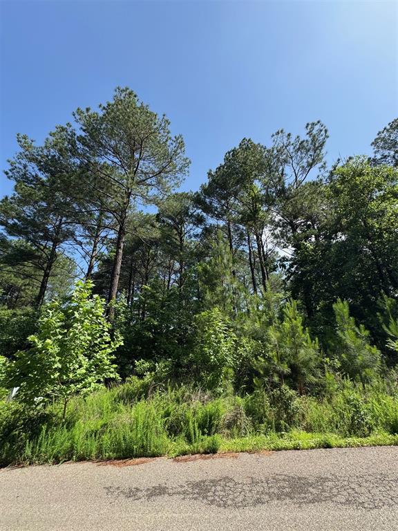 87 Blue Maple Trail