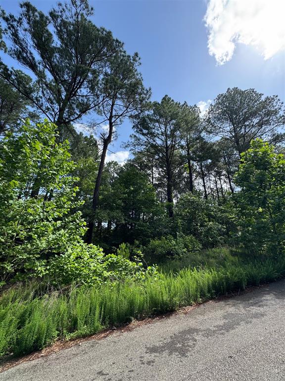 87 Blue Maple Trail