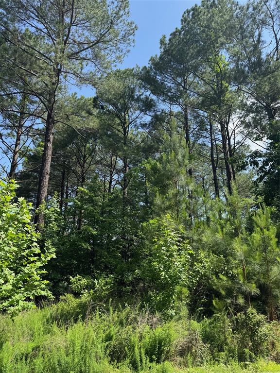 87 Blue Maple Trail