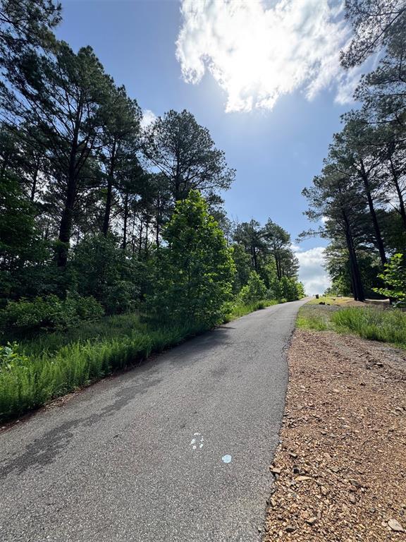 49 Blue Maple Trail