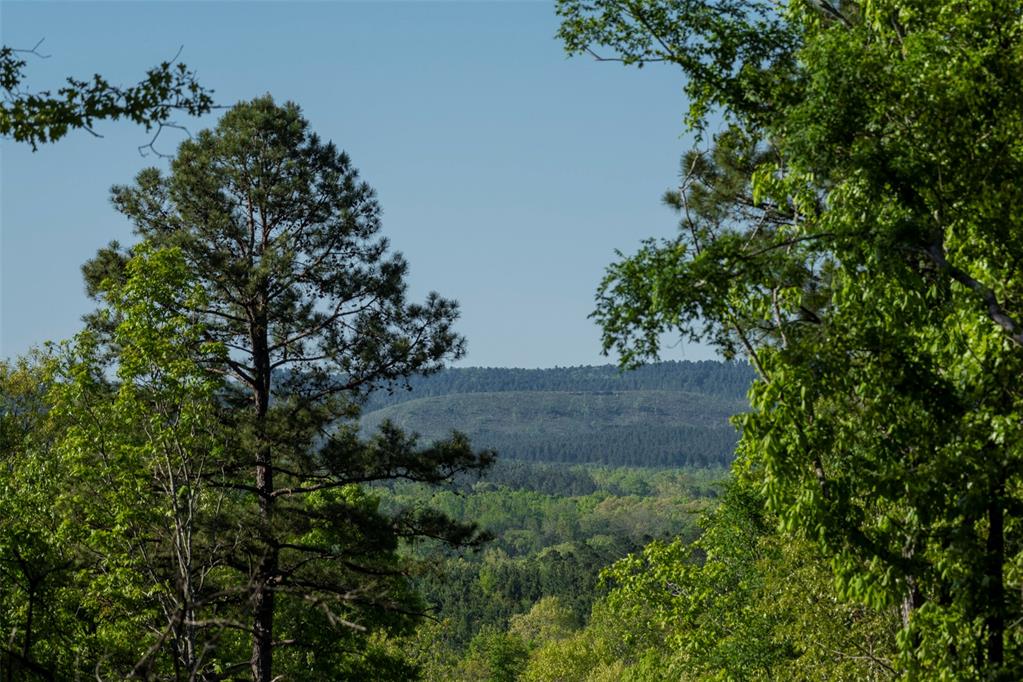 Frances Fir Road