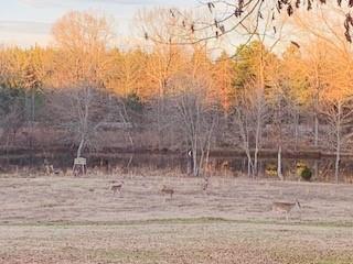 615 Alpaca Lane