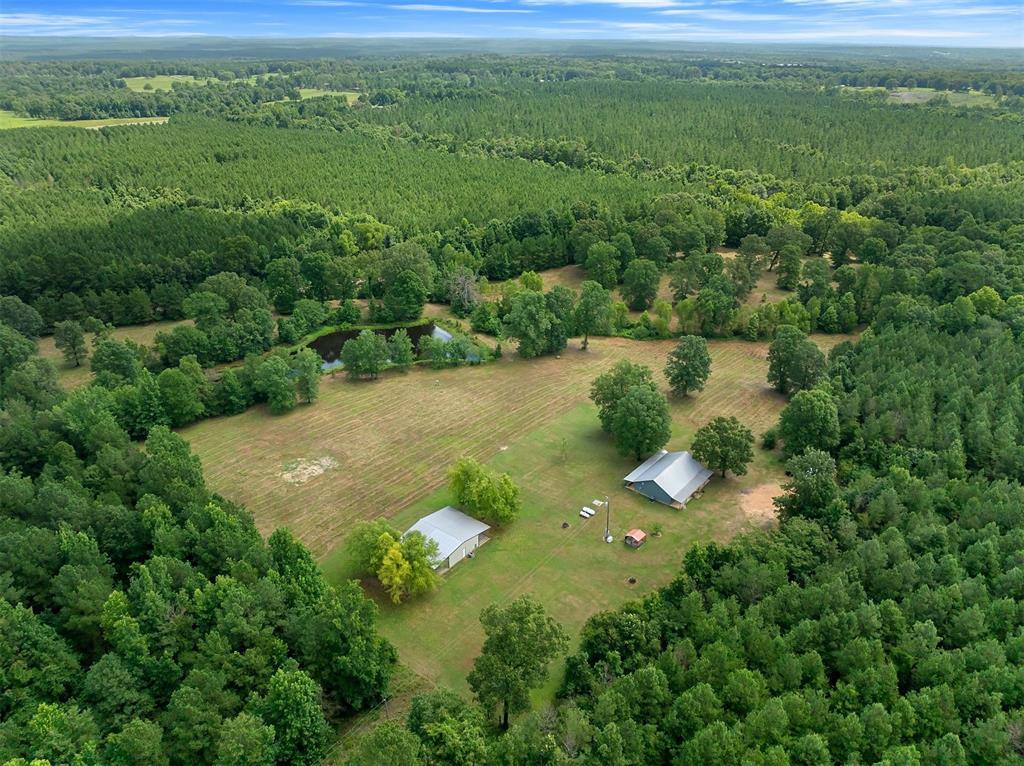 615 Alpaca Lane