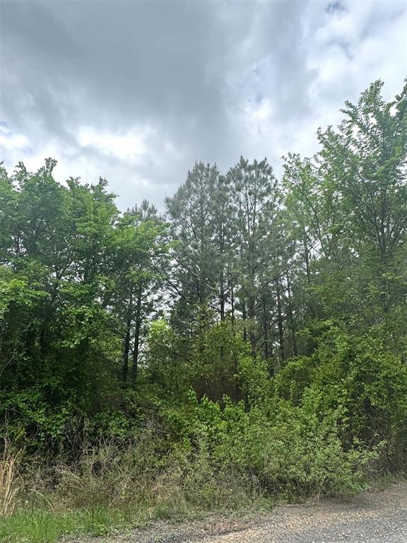 421 Lukfata Fork Trail