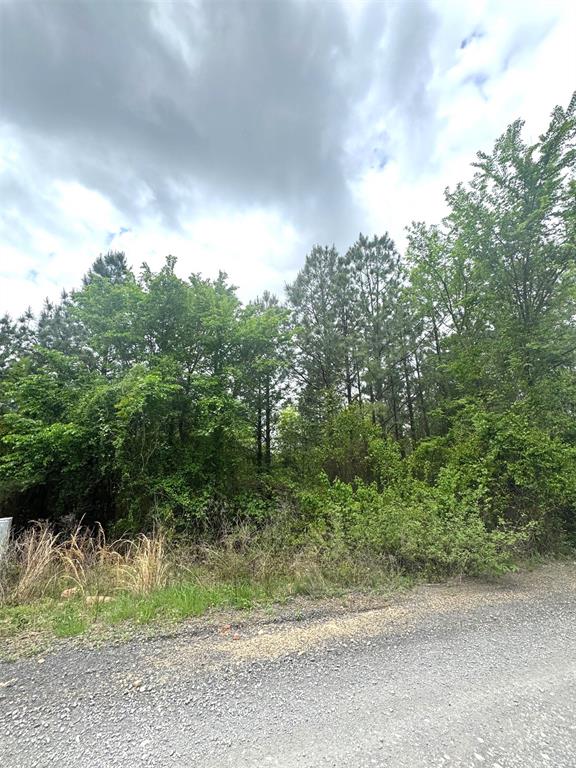 421 Lukfata Fork Trail
