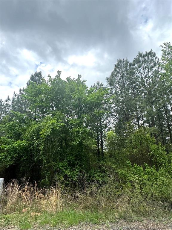 421 Lukfata Fork Trail