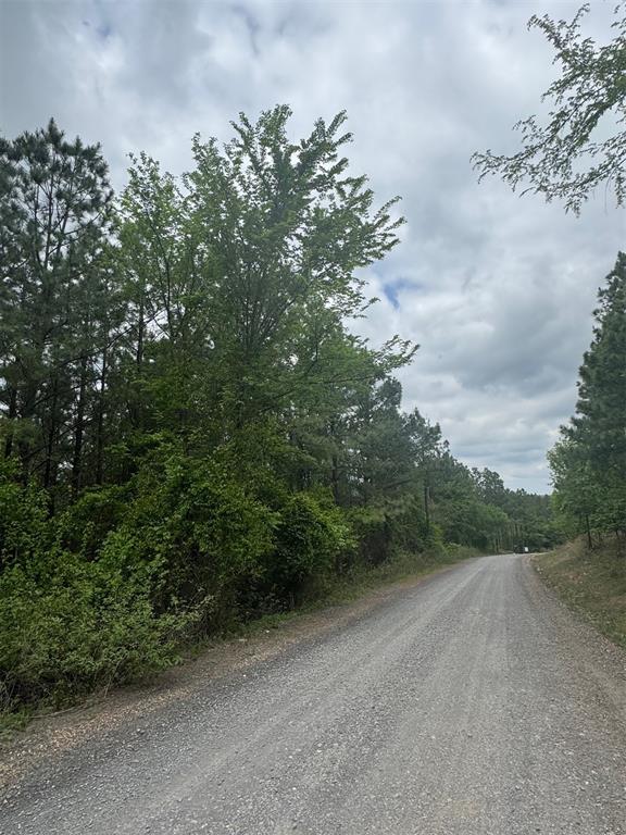 421 Lukfata Fork Trail