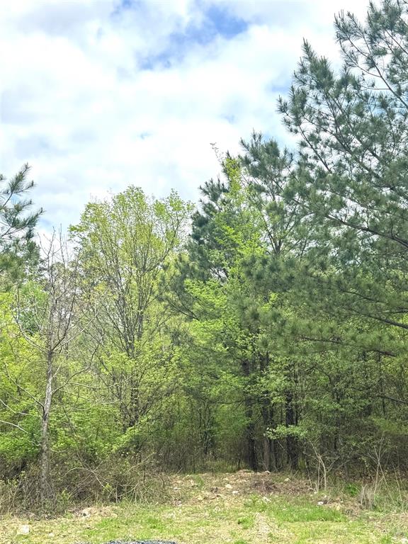 134 Turning Wood Court