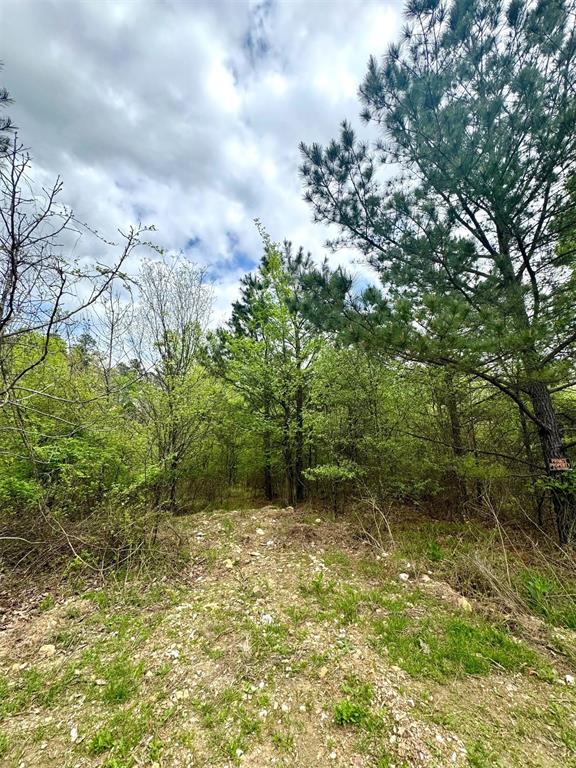 134 Turning Wood Court