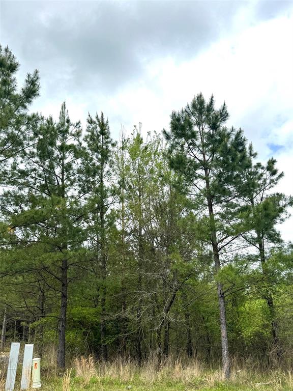 135 Turning Wood Court