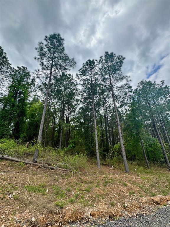 388 Lukfata Trail Trail