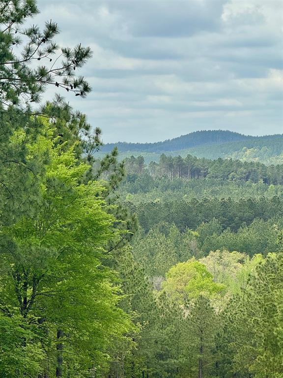 388 Lukfata Trail Trail
