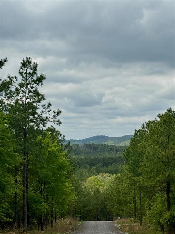 388 Lukfata Trail Trail