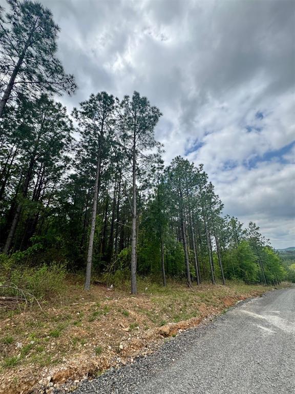 388 Lukfata Trail Trail