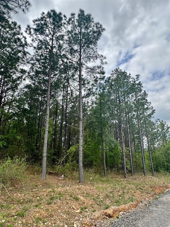 388 Lukfata Trail Trail