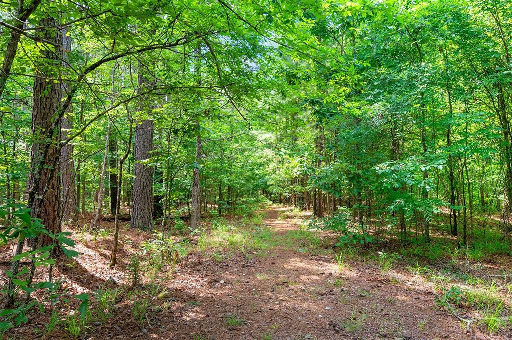 57 Wild Turkey Trail