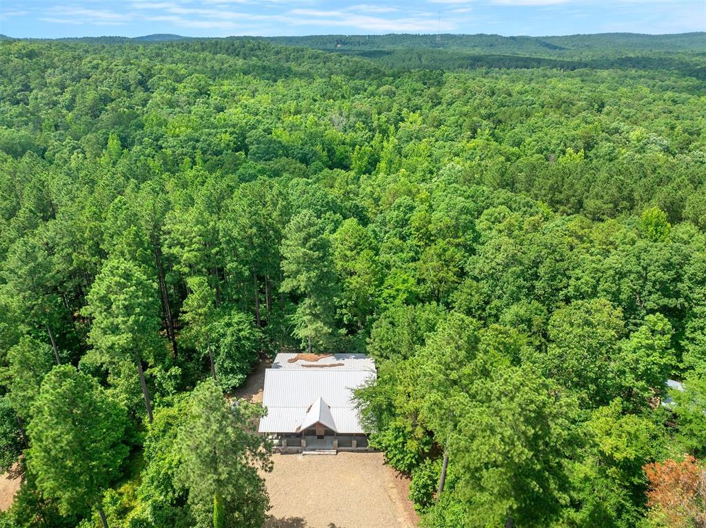 57 Wild Turkey Trail