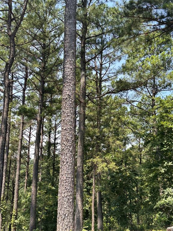 202 Crooked Cedar Trail