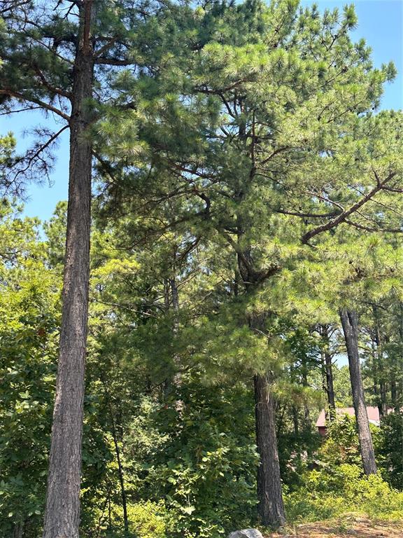 202 Crooked Cedar Trail