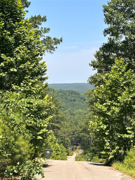 85 Green Apple Trail