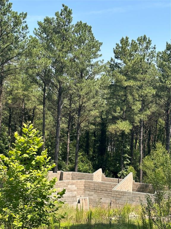 85 Green Apple Trail