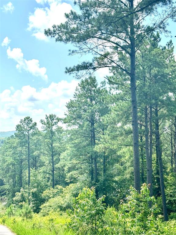 85 Green Apple Trail