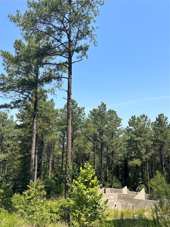 85 Green Apple Trail