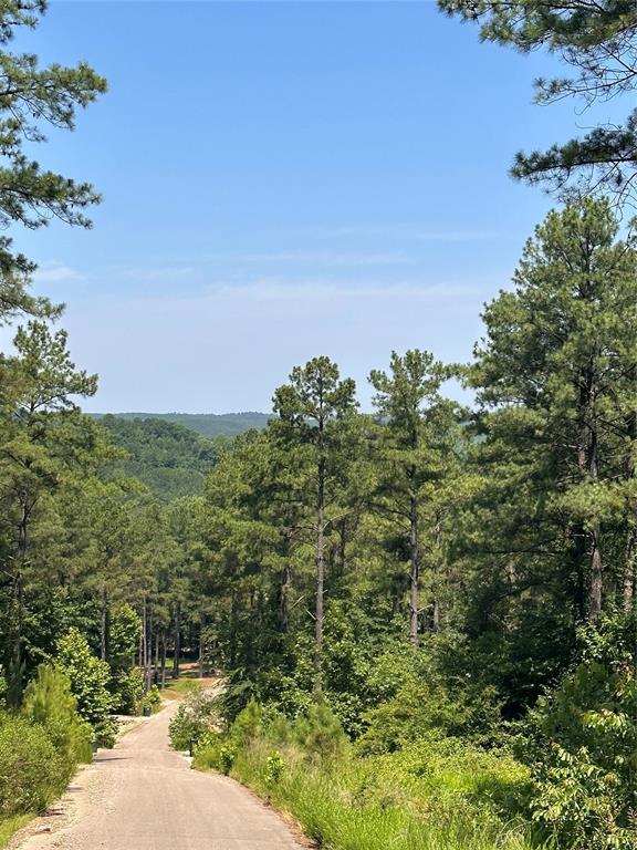 85 Green Apple Trail