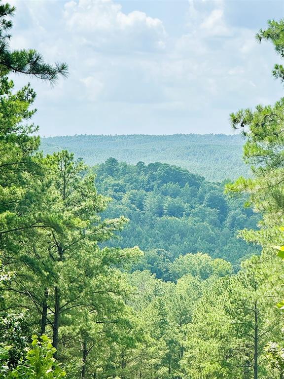 85 Green Apple Trail